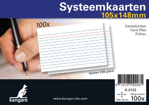 SYSTEEMKAARTEN A6 105X148MM 100 STUKS -SYSTEEMKAARTEN K-6103